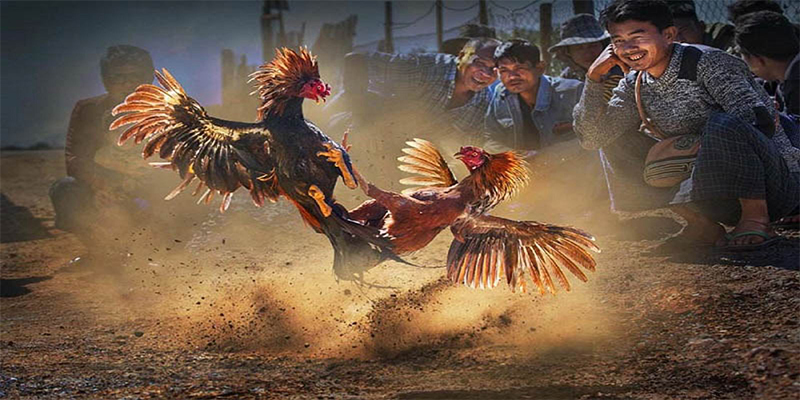 tt88 slot chơi bắn cá đổi thưởng