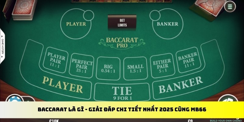 tt88 slot gà chọi cu cần