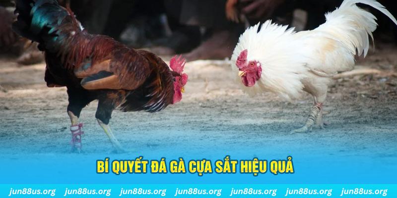 tt88 slot xin 1 slot là gì