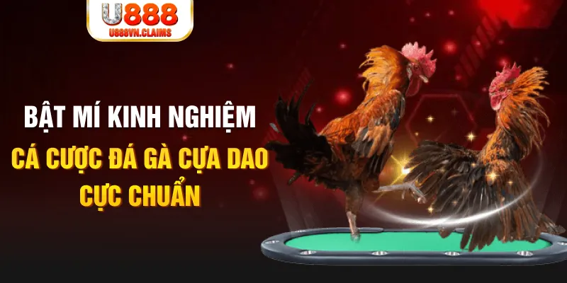tt88 slot tỷ lệ cá cược châu á là gì