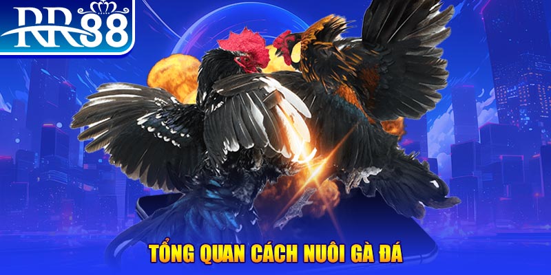 tt88 slot VA Điện Tử
