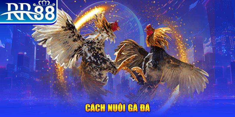 tt88 slot xổ số an giang