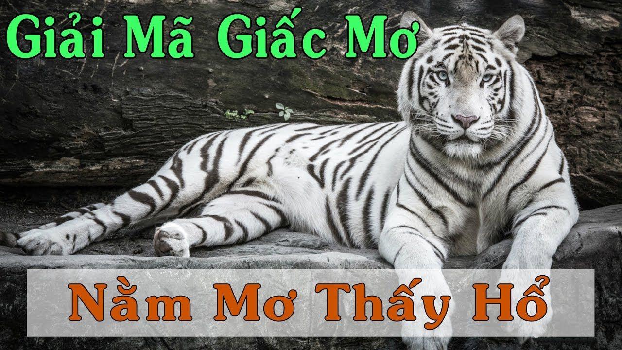 tt88 slot xổ số 3 miền
