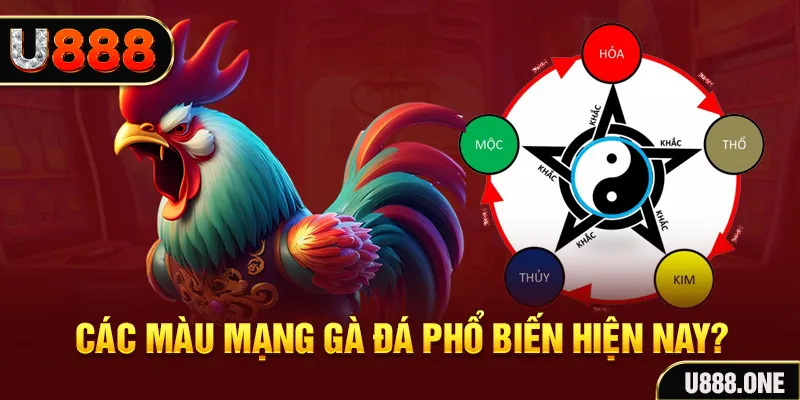 tt88 slot trực tiếp đá gà 88