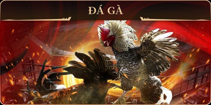 tt88 slot xổ số miền nam thứ hai