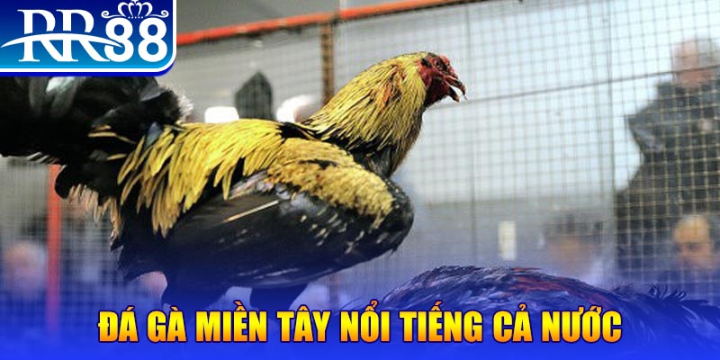 tt88 slot JILI Game Bài 3d