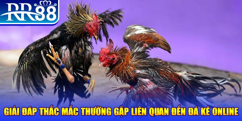 tt88 slot slot machine là gì