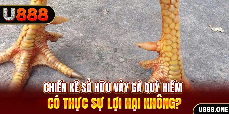 tt88 slot nohu .mx nổ hủ là gì
