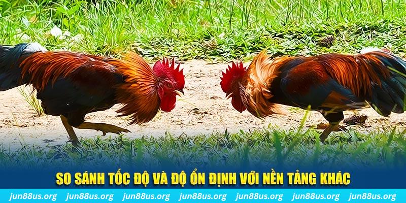 tt88 slot đá gà hôm nay