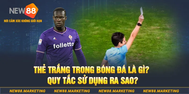 tt88 slot gà chọi mộc hóa