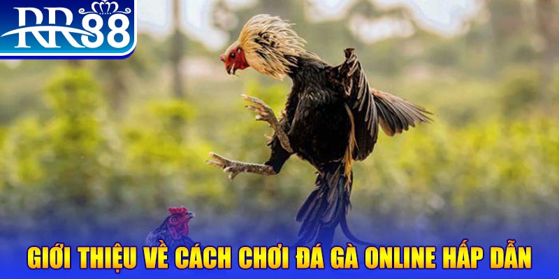 tt88 slot game nổ hũ rút tiền mặt là gì