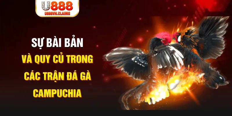 tt88 slot YGR Điện Tử