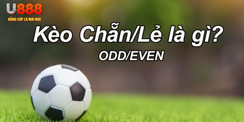 tt88 slot đăng nhập poker hôm nay