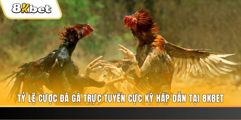 tt88 slot xổ số trực tiếp miền bắc