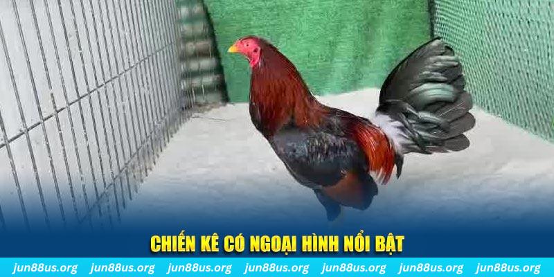 tt88 slot chạy quảng cáo cho game bài bị phạt như thế nào