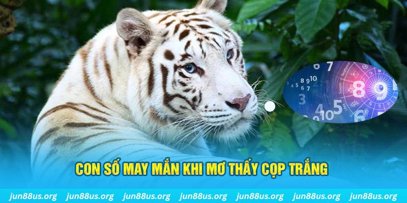 tt88 slot đá gà trực tiếp 88
